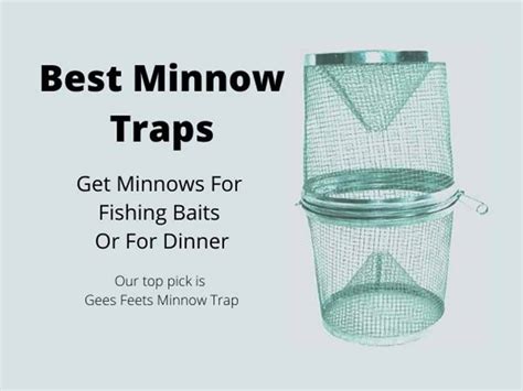 How to Attract More Minnows to Your Maic Bait Minnow Trap